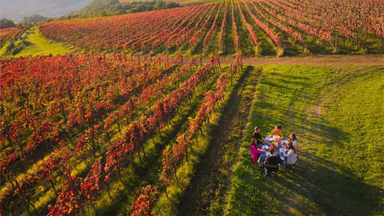 Slovenia Green Cuisine: gusto, passione e sostenibilità