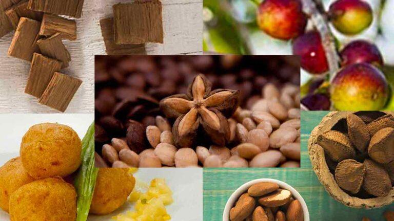 5 superfoods peruviani